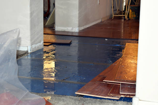 Professional Flood Cleanup technician working in Rugby, ND
